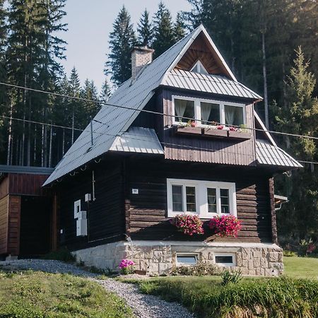 Willa Roubenka U Kavku Stare Hamry Zewnętrze zdjęcie